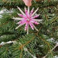 Christmas Star Crystal (1)