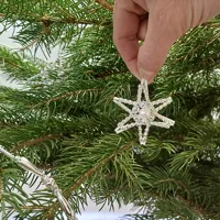 Christmas star on the tree (1)
