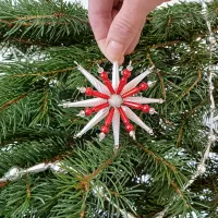 Christmas Star Crystal (1)