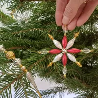 Star on the Christmas tree (1)