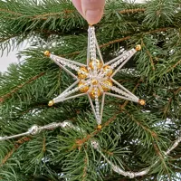 Jíněnka - Krakonoš's star (2)