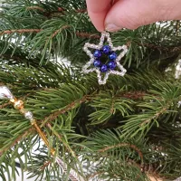 Ministar (2)
