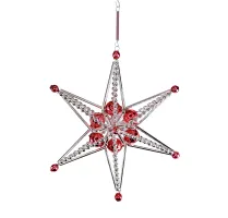 Christmas star Jinenka (1)