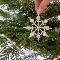Cinderella - Krakonoš's Star (1)