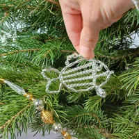 Christmas ornament Fish (1)
