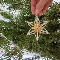 Star on the Christmas tree (1)
