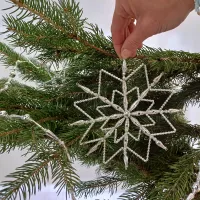Large Christmas snowflake (1)