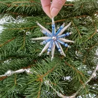 Christmas Star Crystal (2)