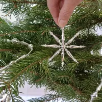 Christmas tree star (1)
