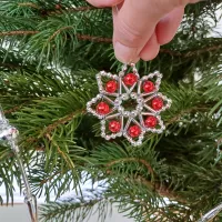 Christmas tree star (1)