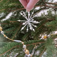 A star in all directions (1)