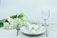 Napkin ring - Spider (1)