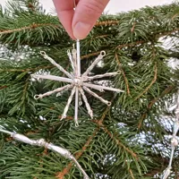 A star in all directions (1)