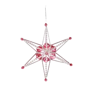 Christmas star Jinenka