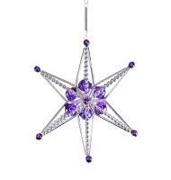 Christmas star Jinenka (1)