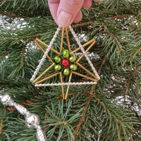 Star on the Christmas tree (1)