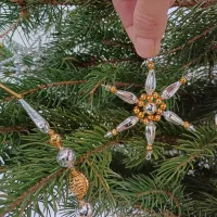 Delicate Christmas star (1)
