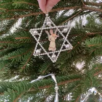 Star with a picture - Christmas ornament (1)