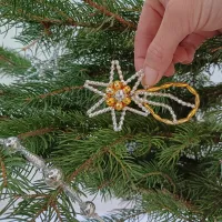 Christmas Comet (1)