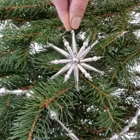 Star on the Christmas tree (1)