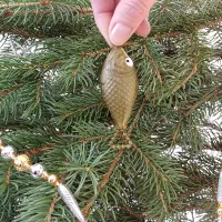 Christmas ornament - Carp (1)