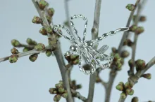 Dragonfly on a clip - Christmas tree ornament (2)