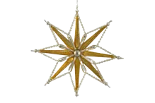 Zářilka - Krakonoš's star (1)