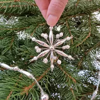 A star in all directions (1)