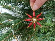 Little Christmas star (1)