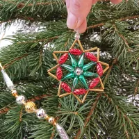 Star on the Christmas tree (1)