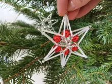 Christmas Star Glass (1)
