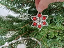 Christmas star Huderovka (1)