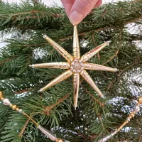 Christmas tree ornament - Star (1)