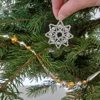 Christmas tree star (1)