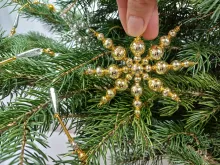 Krůpějka - Krakonoš's star (2)