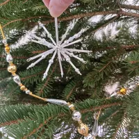 A star in all directions (1)
