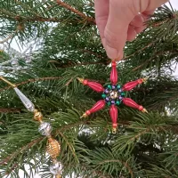 Delicate Christmas star (1)