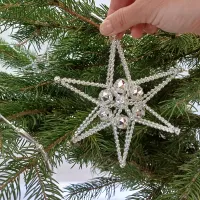 Big Christmas star (2)
