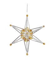 Jíněnka - Krakonoš's star (1)