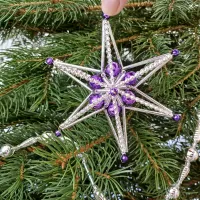 Christmas star Jinenka (2)