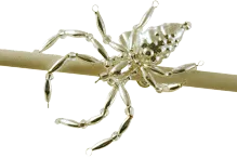 Hobby set - Spider (1)