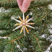 Star on the Christmas tree (1)