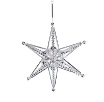 Christmas star Jinenka (1)