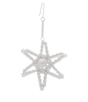 Christmas star on the tree