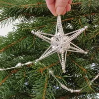 Christmas star Jinenka (2)