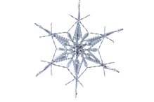 Christmas Snowflake - Garnet