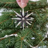 Christmas Star Crystal (1)