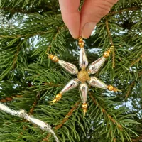 Christmas ornament - Star (1)