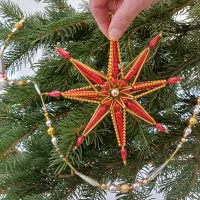 Plamenka - Krakonoš's star (3)