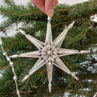 Christmas star Flamenca (2)